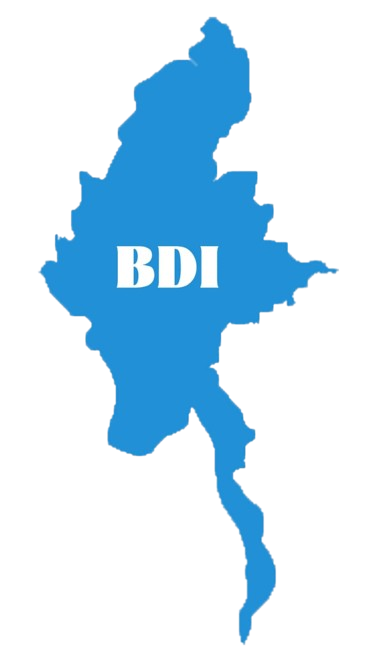 Burma Democratic Institutes – BDI